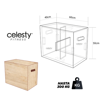 Banco Madera Reforzado Saltos De Caja Ejercicio Crossfit Gym