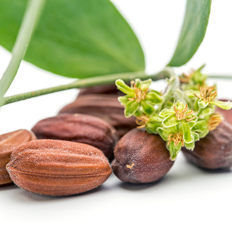 Jabón Artesanal de Jojoba 100g