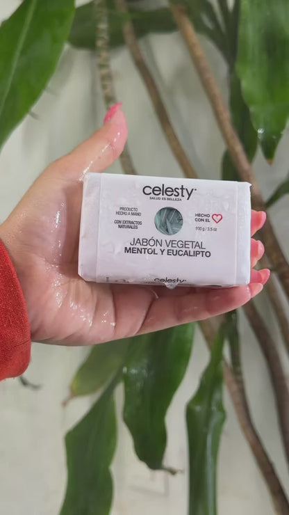 Jabón Vegetal Mentol Y Eucalipto Glicerina 100g Celesty